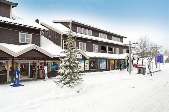 Skitorget Apartments 特吕西尔 外观 照片
